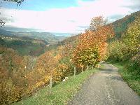 Bei Mambach orginal