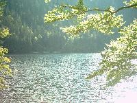 Der Feldsee